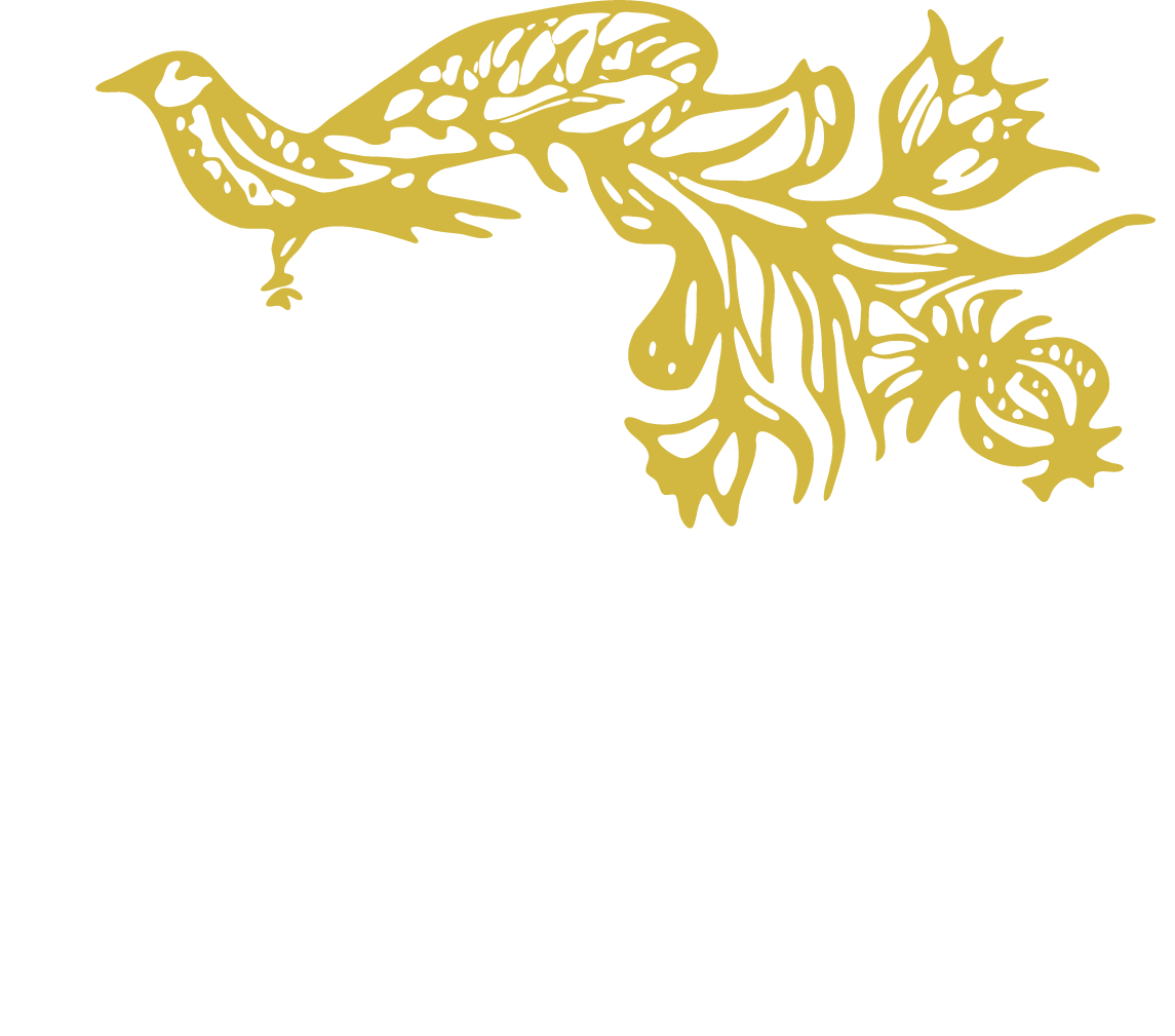 Mac Kitchens
